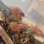 貴美の浜焼き - 