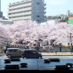 Sakana Ichi Baryou - 窓の外は、満面の桜！桜の名所乞田川沿いの店舗で桜を見ながら贅沢に