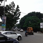 THE HARVEST - 大変お洒落で個性的な本店の付近はこんなありふれた感じですので、通り過ぎないよう御注意を。