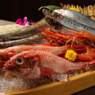 こだわりの鮮魚と厳選地鶏を使用した贅沢な炉端焼き