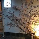 真喜 - 入口の桜