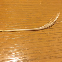 みや古 - 