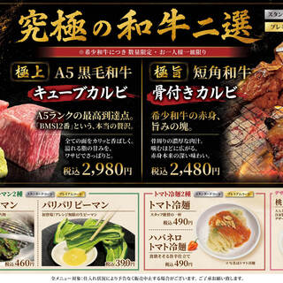 ヴイ・ブリアン_0