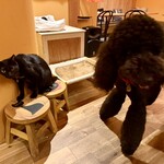 オステリア のべちぇんとのべんたのーべ - 