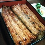 小川菊 - 鰻重  特【5月】