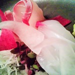 六雁 - 2015.4. 肉厚鯛とアオリイカ