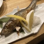 旨飯よか酒 ナナホシテントウ - 