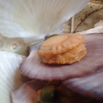 手打 たけうち - 