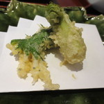 天雅 - 豊橋の白魚の大葉巻とタラノメ。