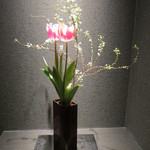 天雅 - チューリップが咲いていました。