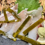 北海道増毛漁港直送 遠藤水産 - 
