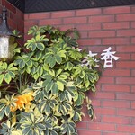 夜来香 - 