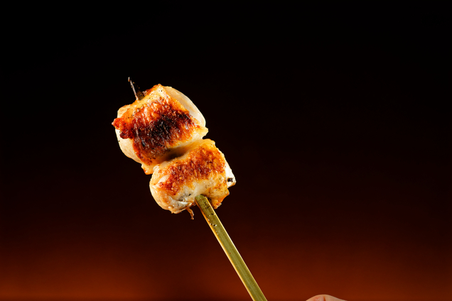 Torikage Issekisancho - Shinsen/Yakitori (Grilled chicken skewers