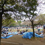 一心鮨 光洋 - 途中の公園では週末バーベキューで盛り上がり
