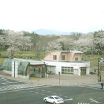 ポルトフィーノ - 店内から見える外の景色　桜