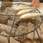 割烹 やました - モロコの炙り