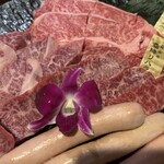 佐蔵 - 