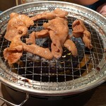 トリホルテルヤ - 