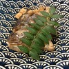 Hamashuku Kitchen - 