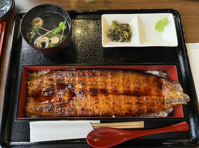 鰻10 一本鰻 藤 成田店 - 成田/うなぎ | 食べログ