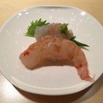 寿しの吉乃 - 北海道のぼたん海老