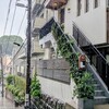 パトゥ - 