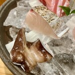 しんのすけ - サゴシ、生とり貝