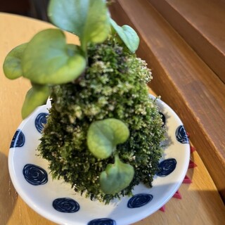 カフェ・ド・モトナミ_0