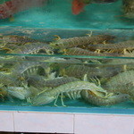 天虹海鮮酒家 - 