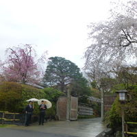 京都 吉兆 嵐山本店 - 