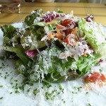 イタリア料理テルラ - テルラのグリーンサラダ
