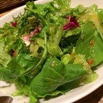 ワイン食堂 ガブガブ - 2015.04　6種の葉っぱのグリーンサラダ