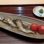 浜町 緒ばた - 九頭竜川鮎の塩焼き　さくらんぼトマト