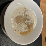 Potoro - 