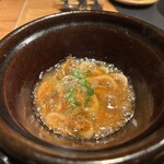 Potoro - 