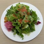 和光ティーサロン - サラダ