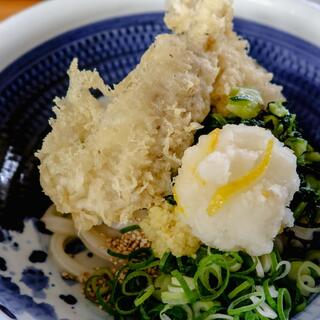 本格手打ちうどん もり_0