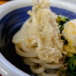 本格手打ちうどん もり_1