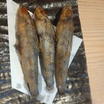 鮨 酒 肴 杉玉 - 