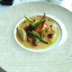 ベラ・ルーサ - 