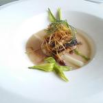 ベラ・ルーサ - 