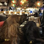 KITCHEN BAR 新目黒茶屋 - 
