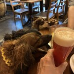 KITCHEN BAR 新目黒茶屋 - 