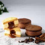 ORANG ORANG cacao - 