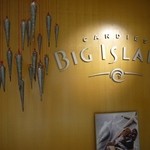 Big Island Candies - 
