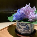 杦 - 