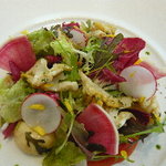 ラシェリール - 