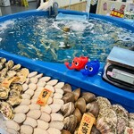 Hakodate Dining Gaya