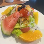 リベッチオ - 