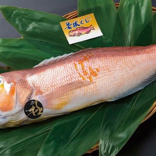 福井が誇る献上魚”若狭甘鯛”を堪能する